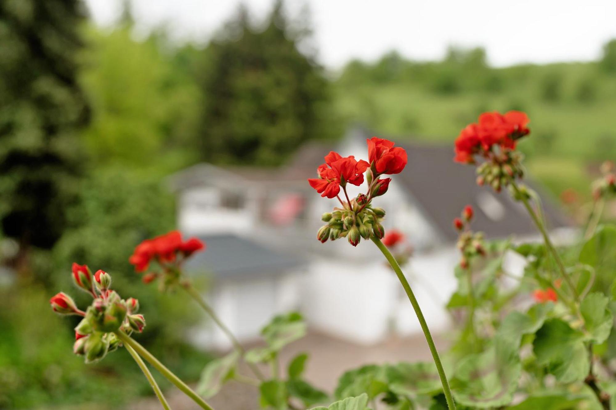 Ferienwohnung Serr เลาฟ์ ภายนอก รูปภาพ